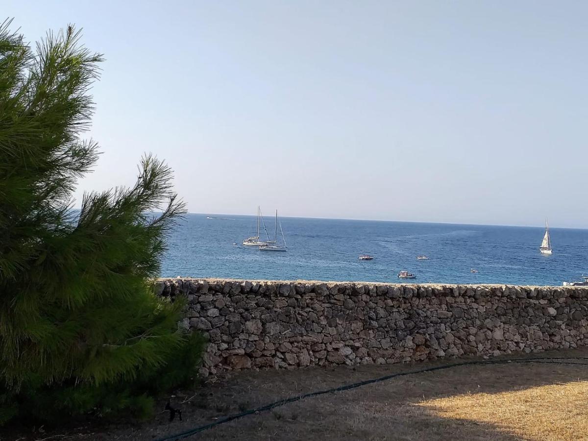 Villa Trullammare Monopoli Esterno foto