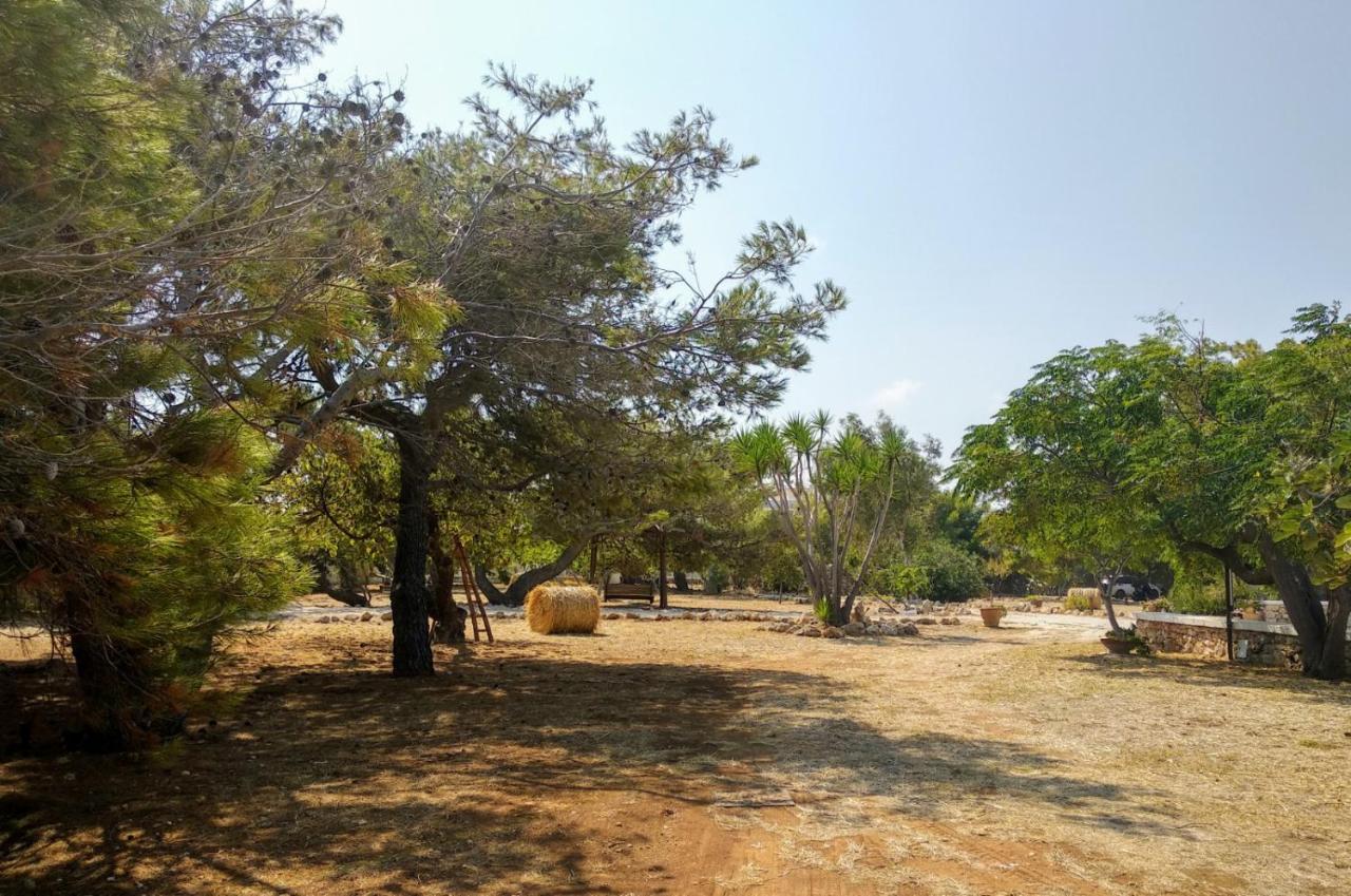 Villa Trullammare Monopoli Esterno foto