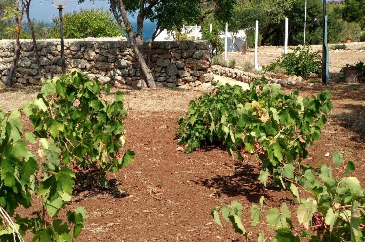 Villa Trullammare Monopoli Esterno foto