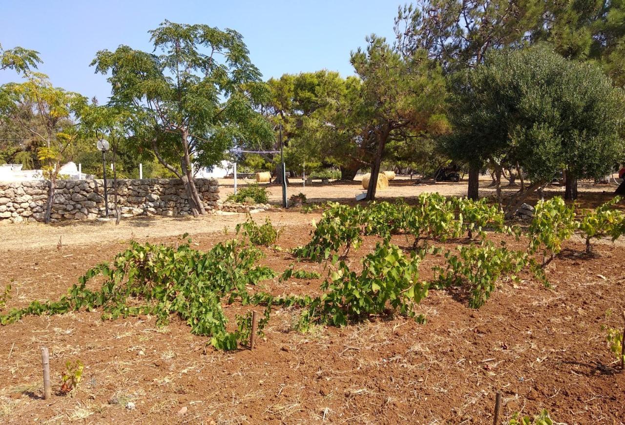 Villa Trullammare Monopoli Esterno foto