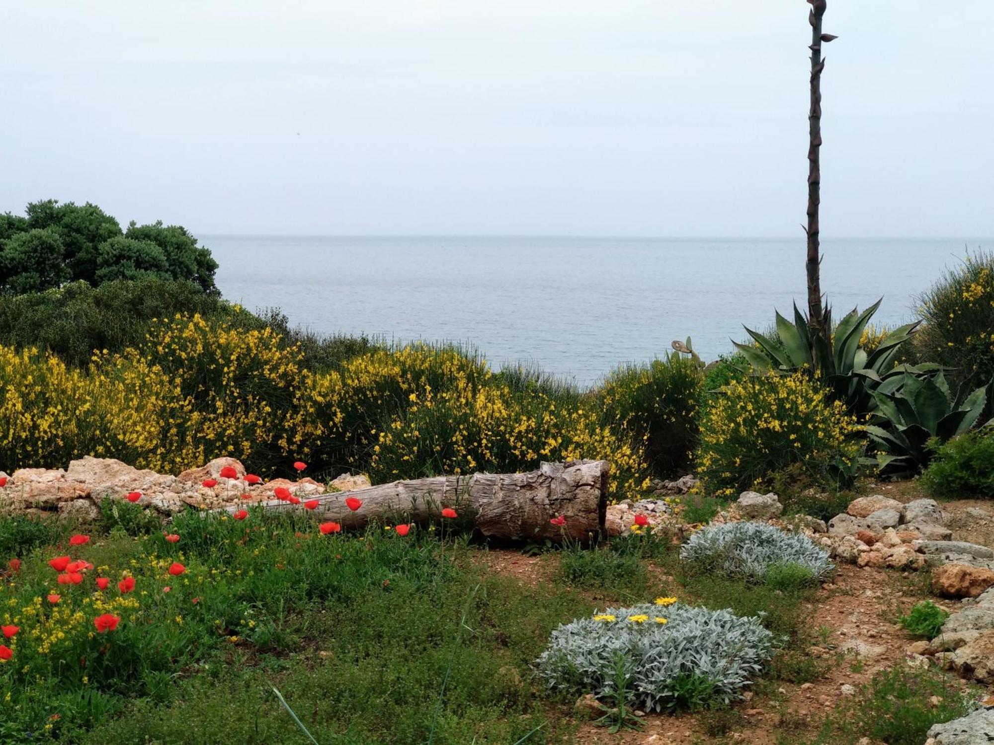Villa Trullammare Monopoli Camera foto